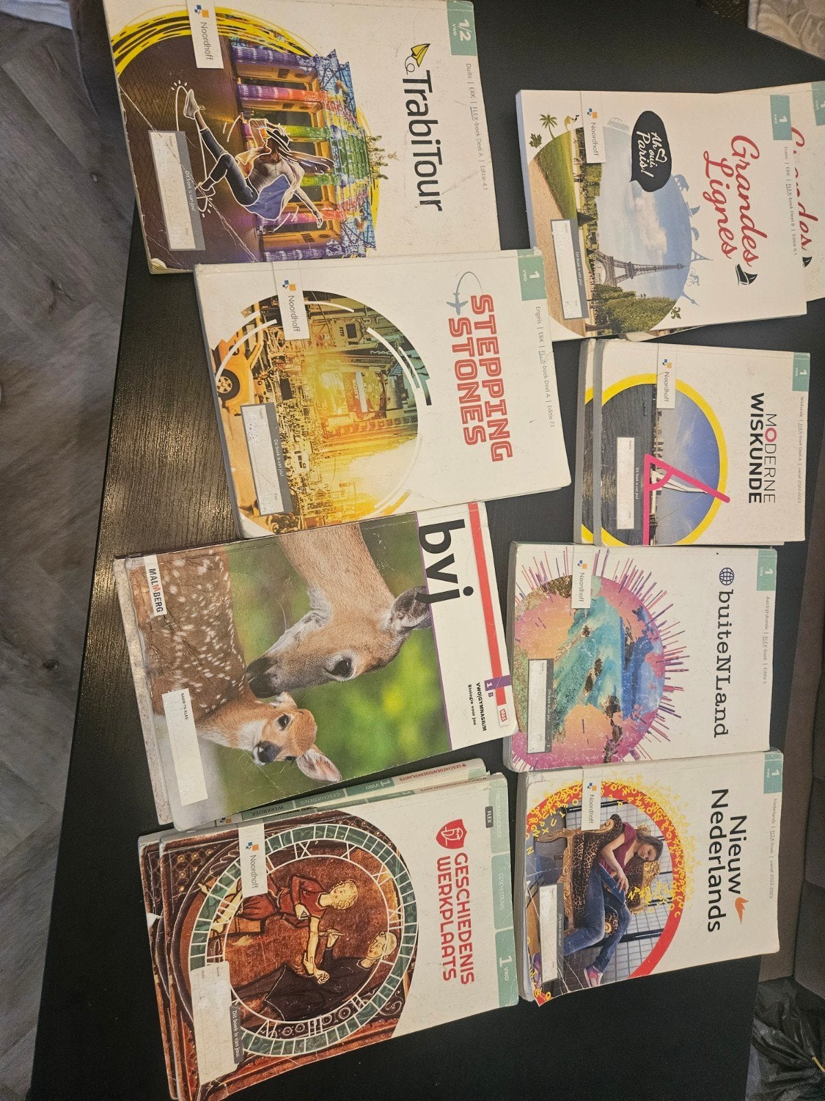 Diverse schoolboeken Havo/VWO/Gymnasium, Boeken, Ophalen of Verzenden, Gelezen, VWO, Overige vakken