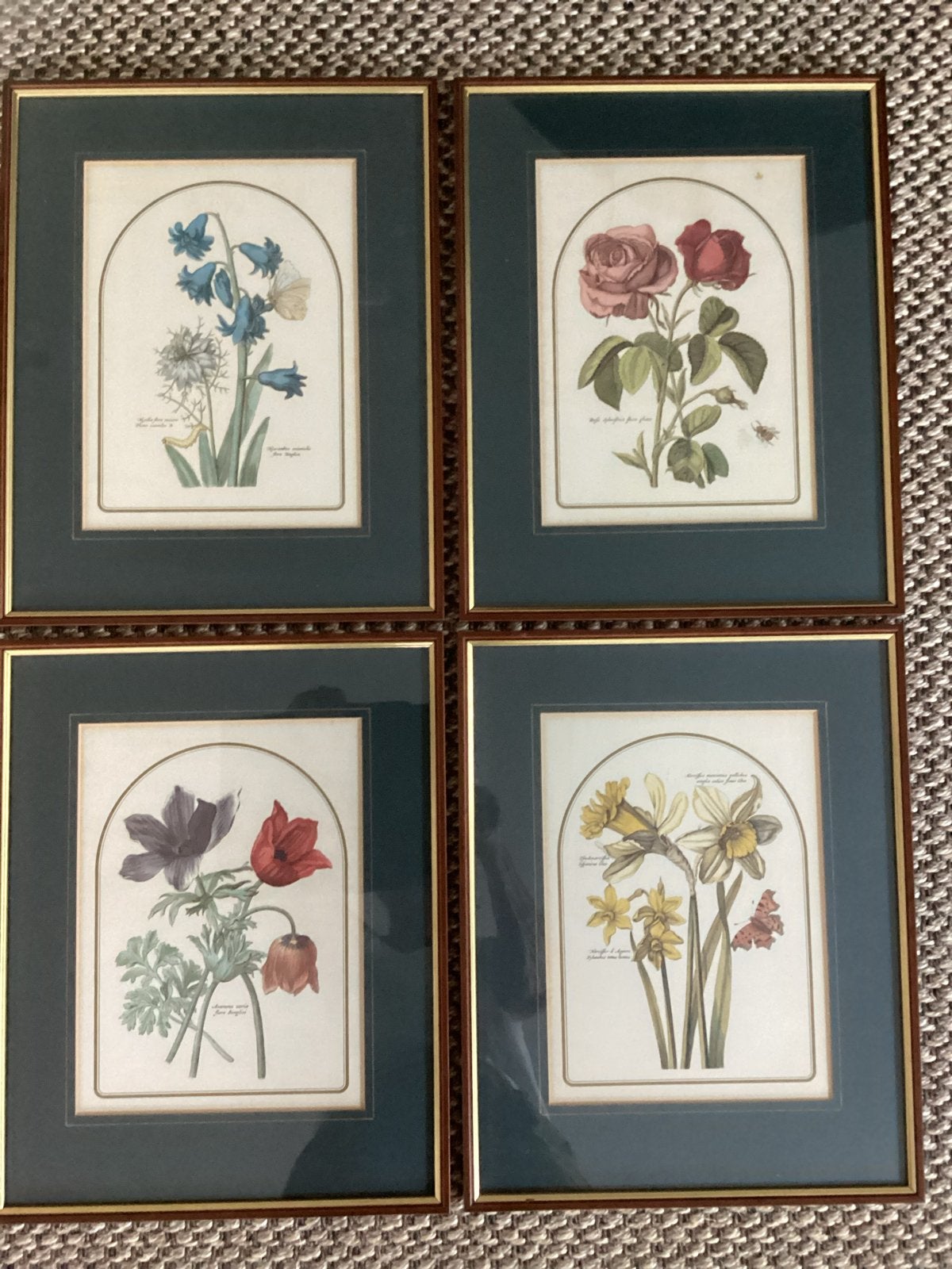 4 ingelijste oude botanische prenten, Antiek en Kunst, Kunst | Etsen en Gravures, Ingelijst, 1950 - 1999, Overige technieken, Ophalen of Verzenden