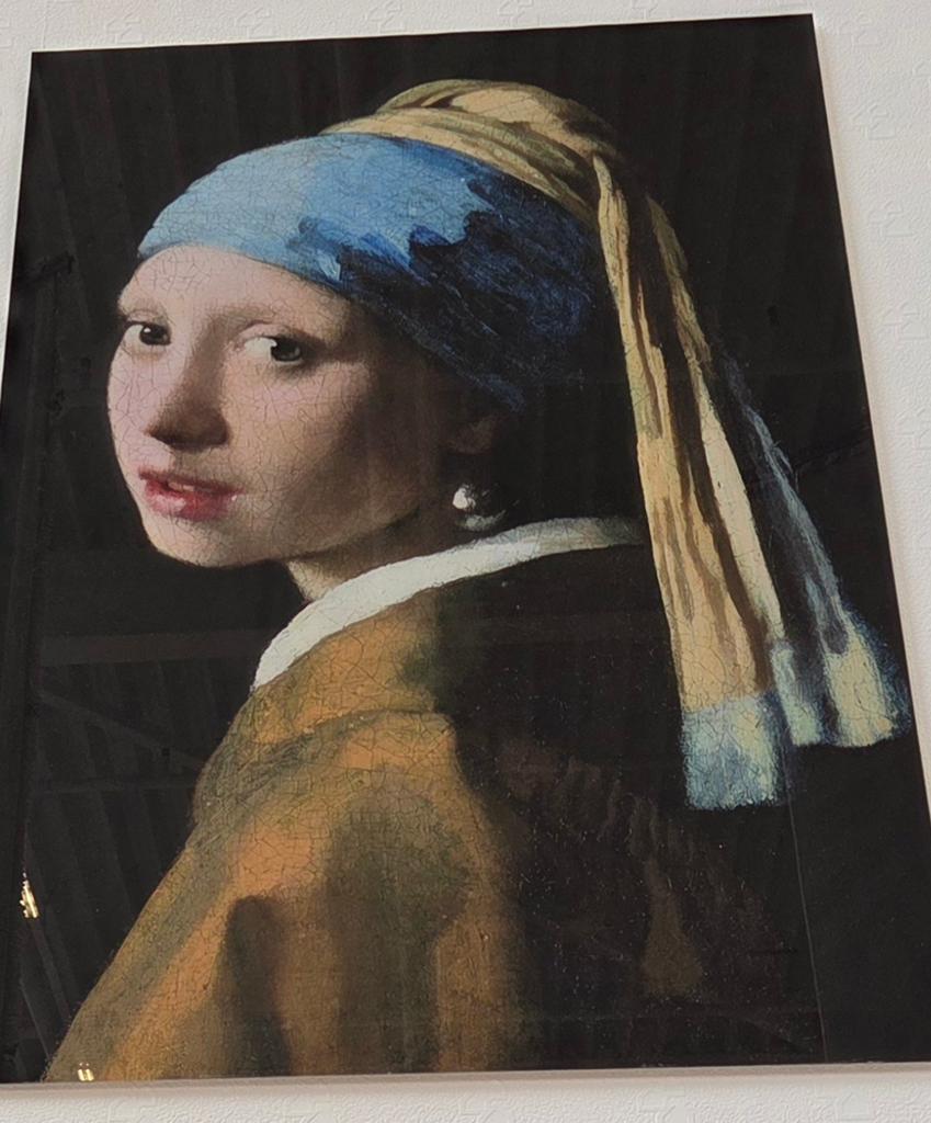 DECO Glasplaat, Reinders, meisje met de parel, Antiek en Kunst, Ophalen