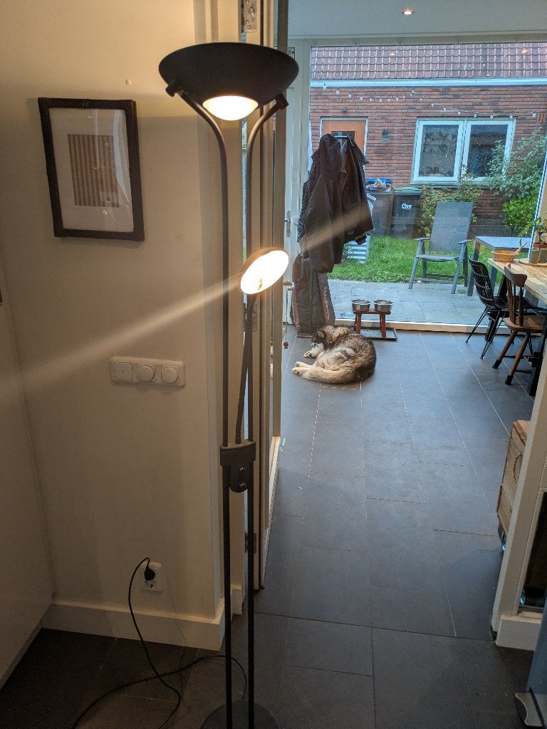 Kwantum Zwarte Vloerlamp Uplighter met Leeslamp (Dimmbaar), Huis en Inrichting, Ophalen, Kunststof, Minimalistisch, 100 tot 150 cm