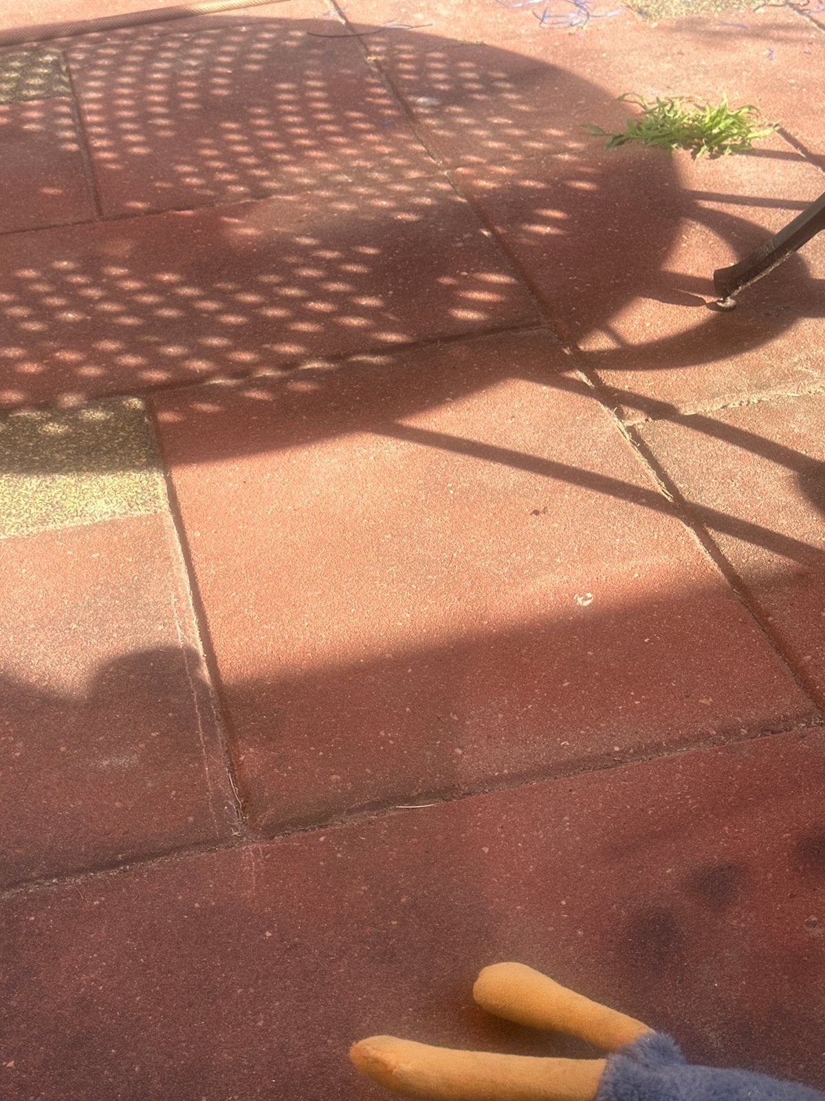 Rode stenen 60x40 - 12 stuks, Tuin en Terras, Tegels en Klinkers, Ophalen, Gebruikt, Minder dan 5 m², Beton