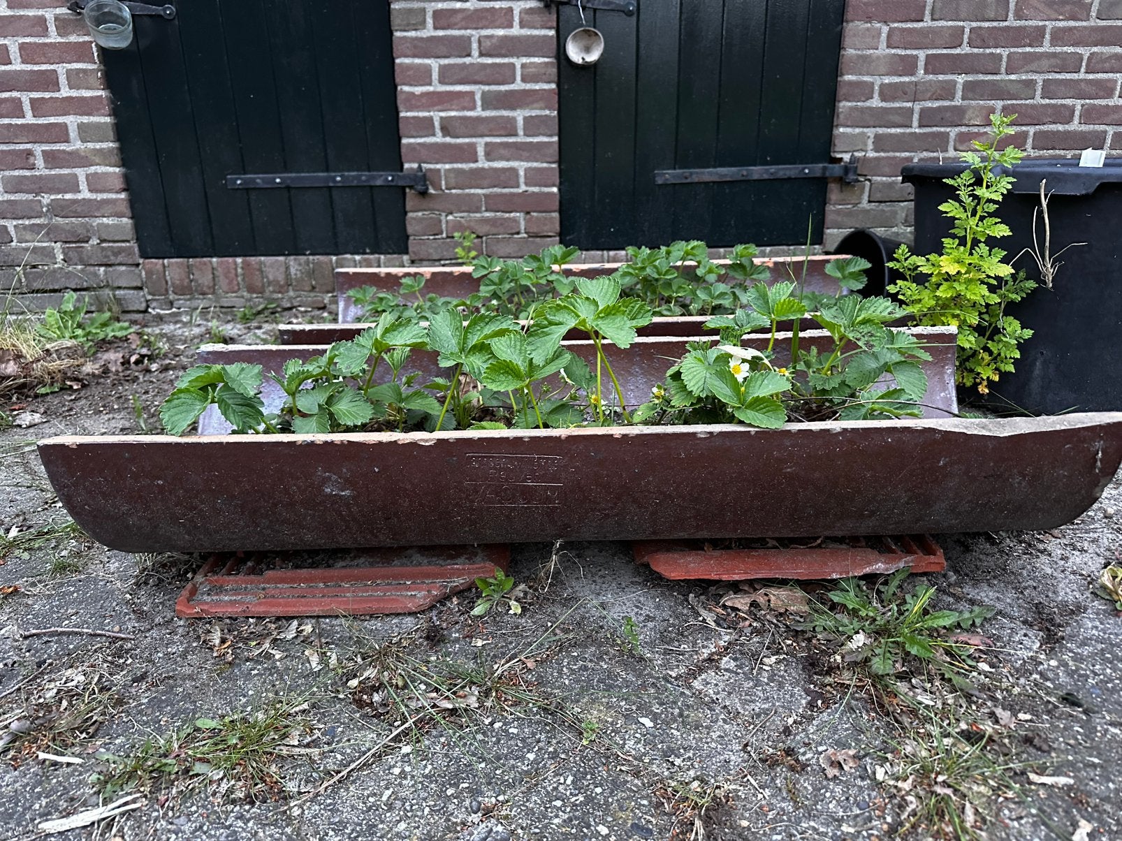 Bloembak. Ideaal voor bijv aardbeien of geraniums, Tuin en Terras, Ophalen, Zo goed als nieuw, Rond, Minder dan 30 cm