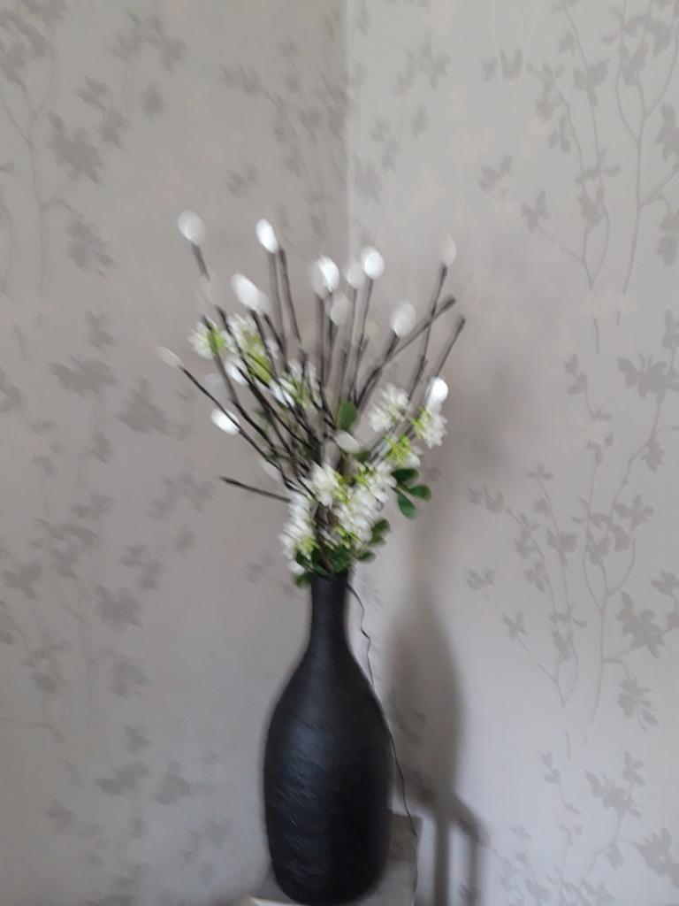 Vaas met verlichting, Ophalen of Verzenden, Zo goed als nieuw, Minder dan 50 cm