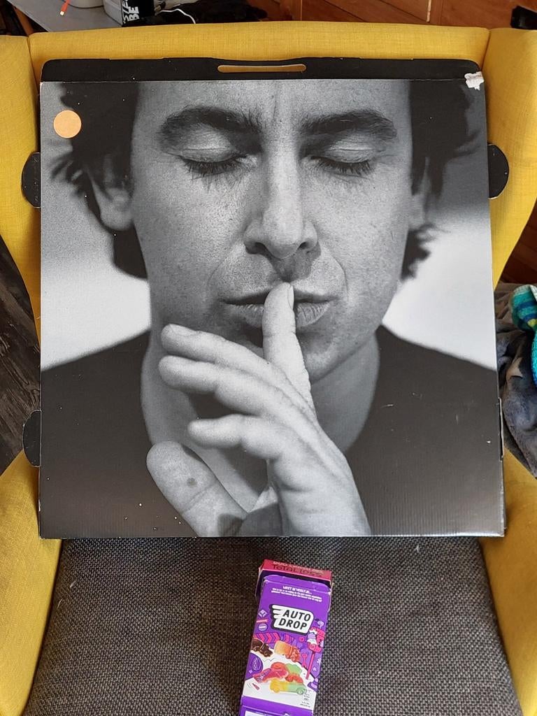 Muziekdoos Canvas schilderij Marco Borsato, Boxset, Ophalen of Verzenden, Zo goed als nieuw, 12 inch