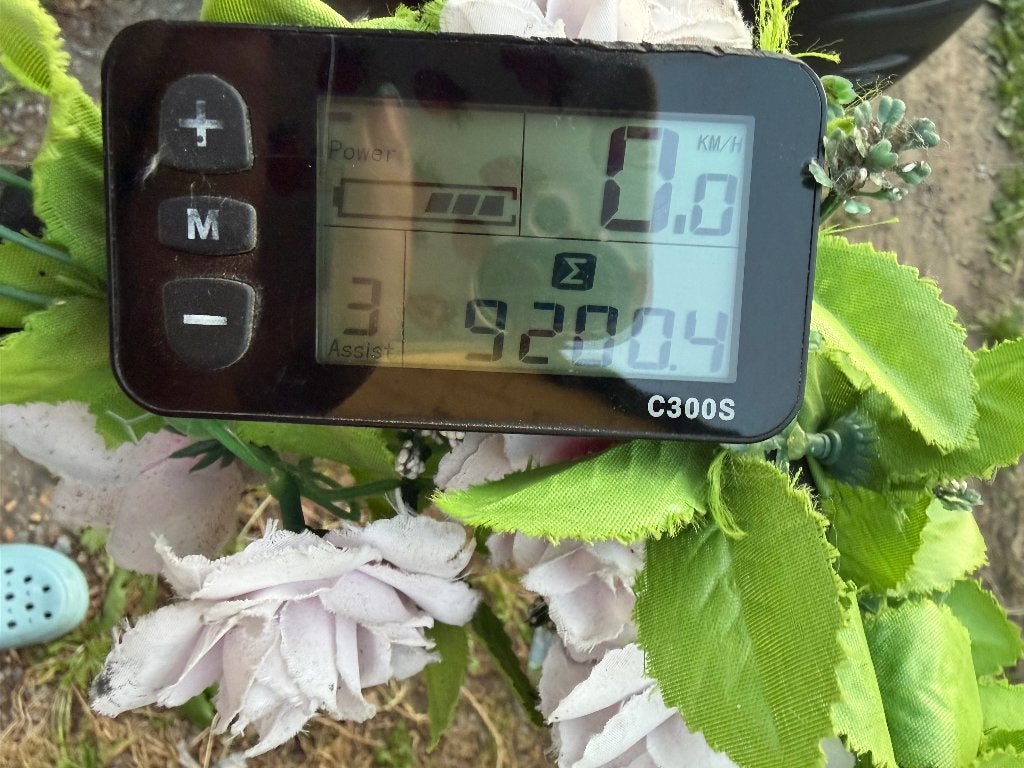 Minerva elektrische fiets, Fietsen en Brommers, Elektrische fietsen, Ophalen, Gebruikt, 30 tot 50 km per accu, Overige merken