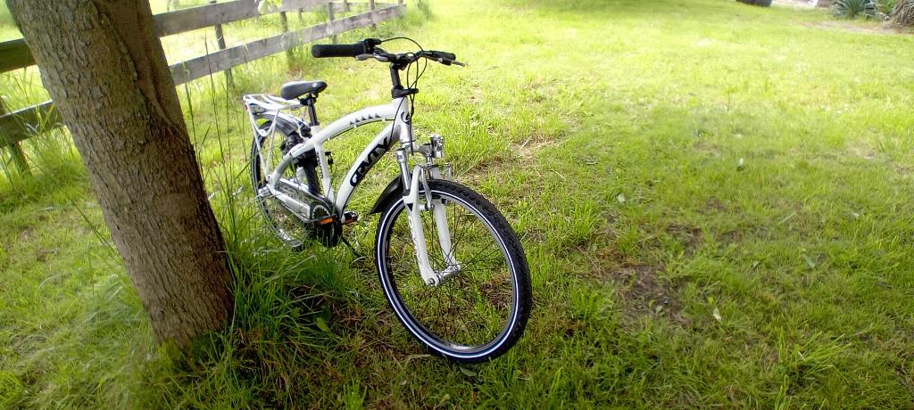 Sportieve fiets 24 inch voor 8 tot 12 jaar., Ophalen, Terugtraprem, Sparta, Versnellingen