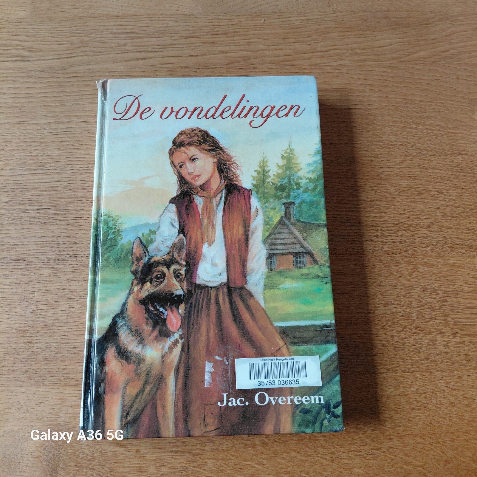 De vondelingen - Jac. Overeem (kinderboek), Ophalen of Verzenden, Gelezen, Jac. Overeem, Nederland