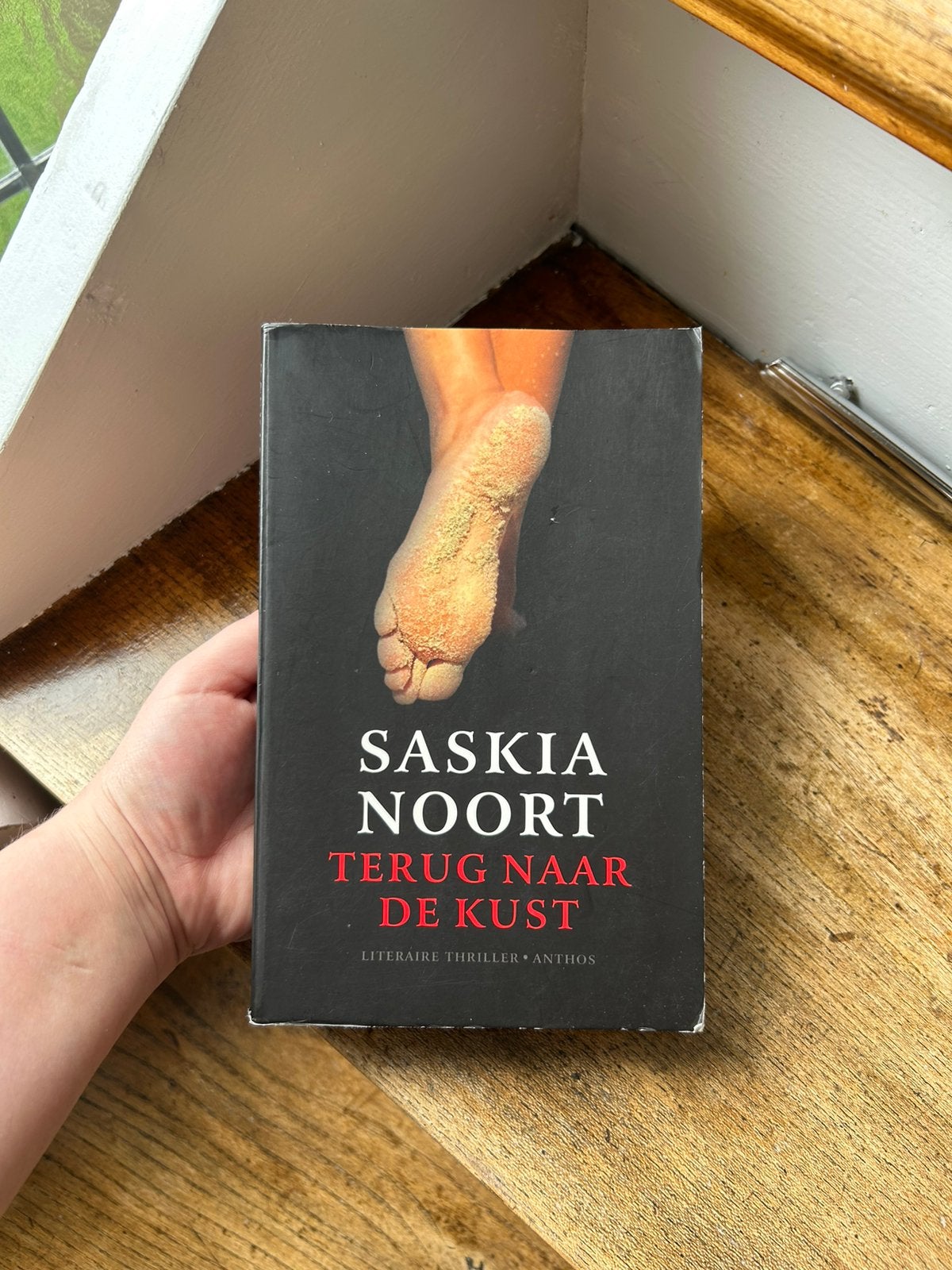 Set van 2 boeken | Saskia Noort, Ophalen of Verzenden, Gelezen