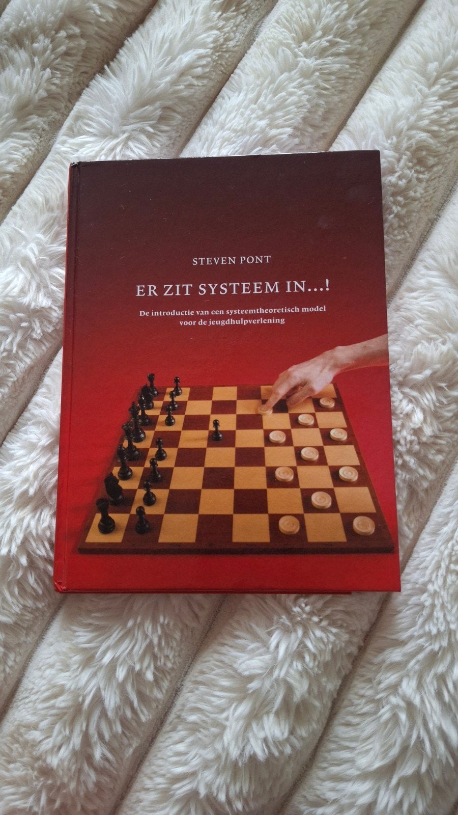 Er zit systeem in...! - Steven Pont (Jeugdhulpverlening), Boeken, Ophalen of Verzenden, Zo goed als nieuw, HBO, Steven Pont
