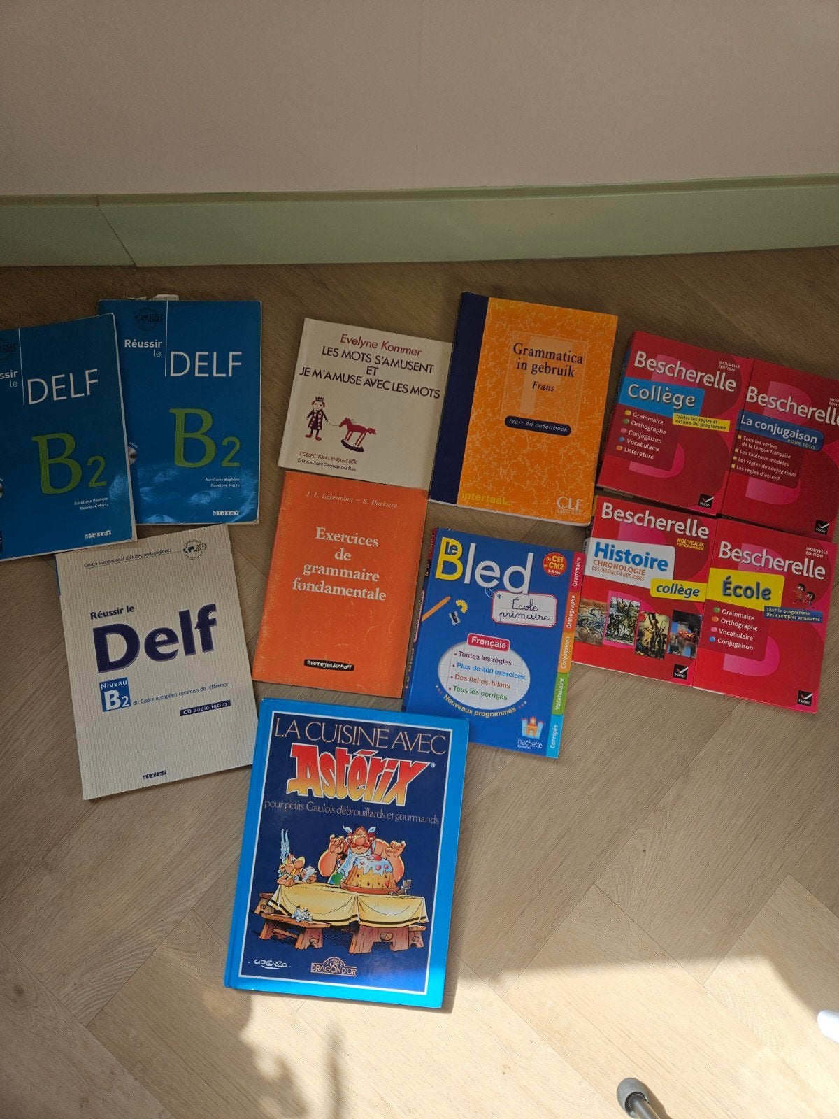 Franse lesboeken voor DELF, grammatica en meer, Verzenden, Gelezen, Non-fictie