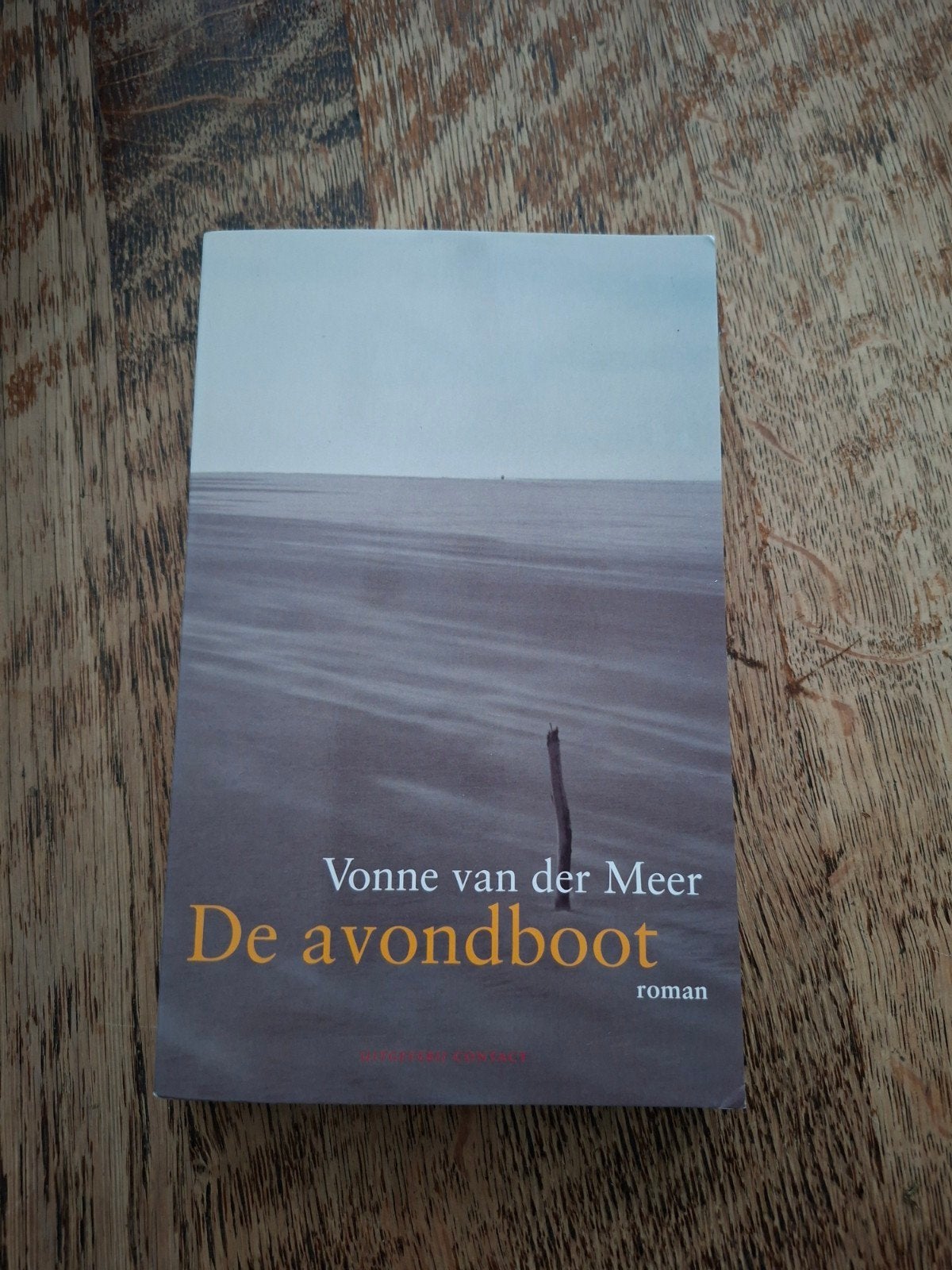 Vonne van der Meer - De avondboot, Boeken, Ophalen of Verzenden, Nieuw, Vonne van der Meer