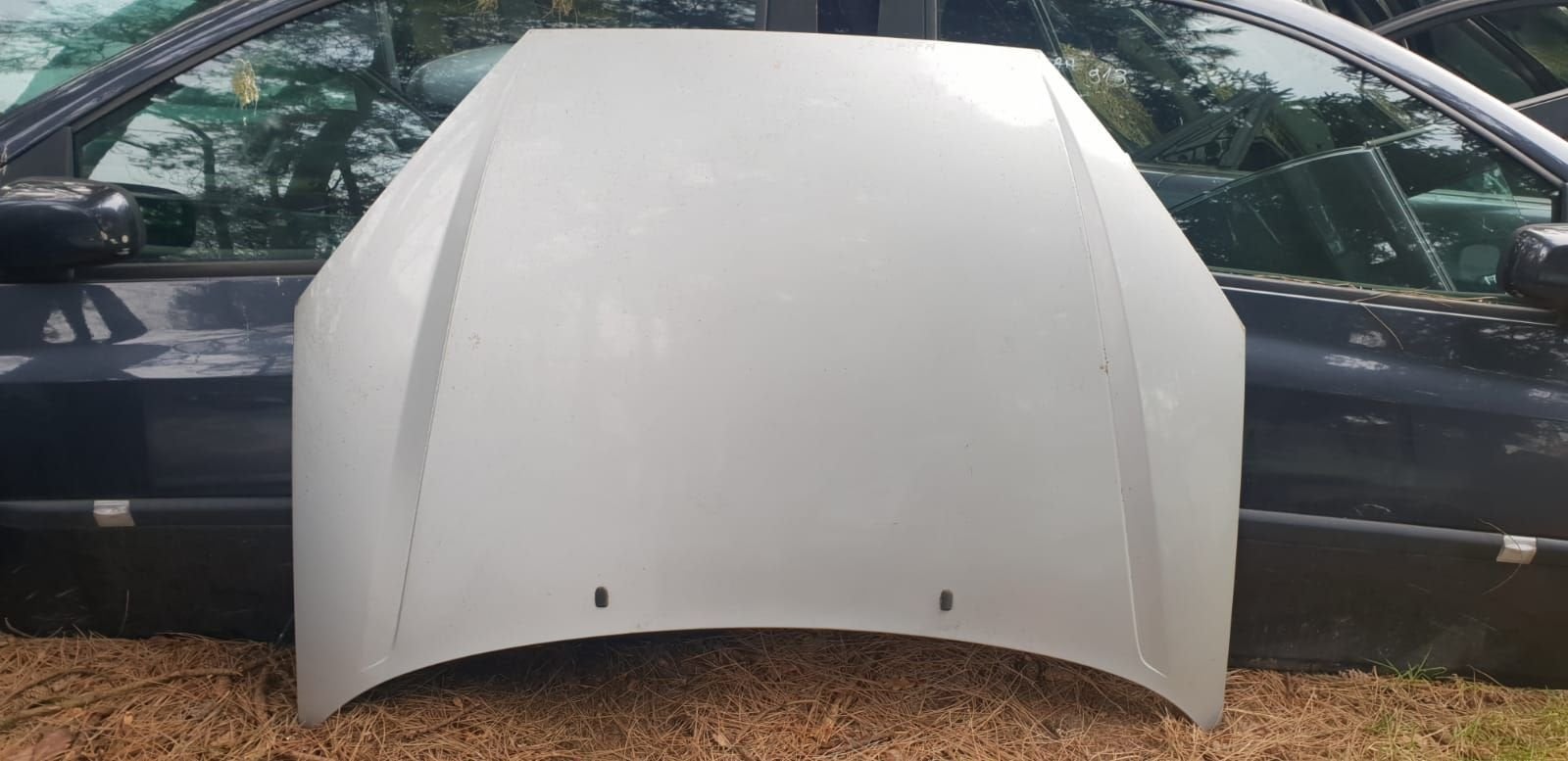 FORD FOCUS MK1 MOTORKAP BJ 98 TOT 2005, Gebruikt, -, -, Ophalen of Verzenden