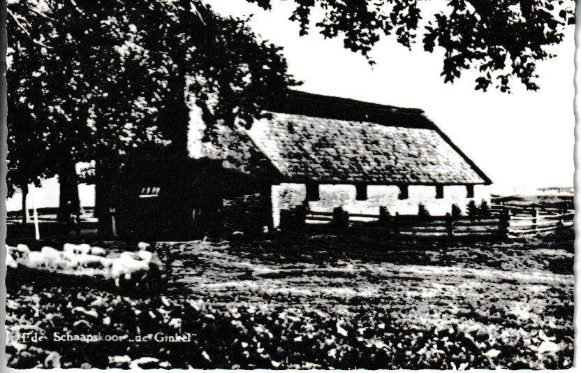 EDE - SCHAAPSKOOI de GINKEL, Ophalen of Verzenden, Ongelopen, Gelderland