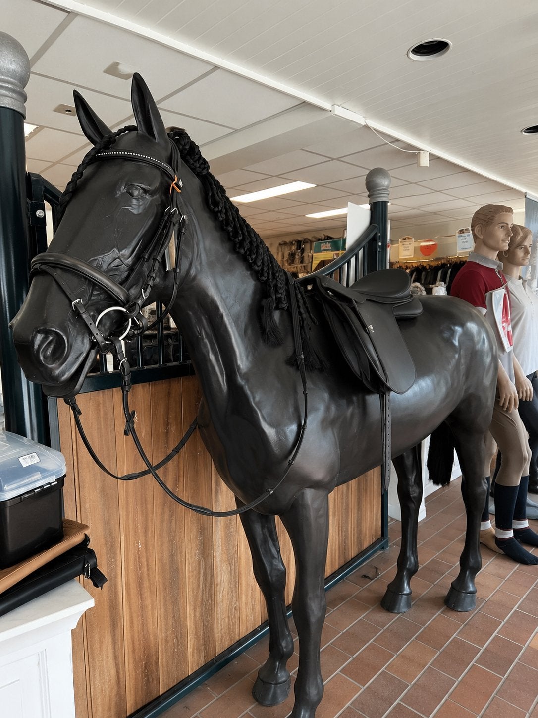 Show Paard Backy - etalage paard, Ophalen, Overige soorten