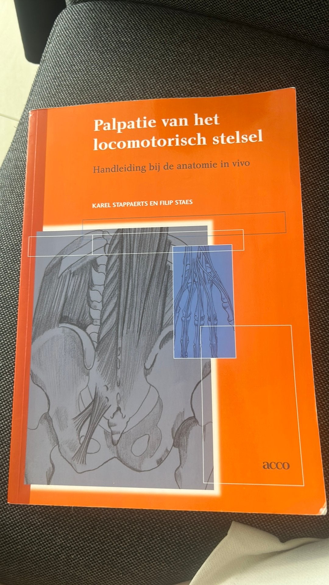 Palpatie van het locomotorisch stelsel boek, Boeken, Verzenden, Beta, Zo goed als nieuw, HBO