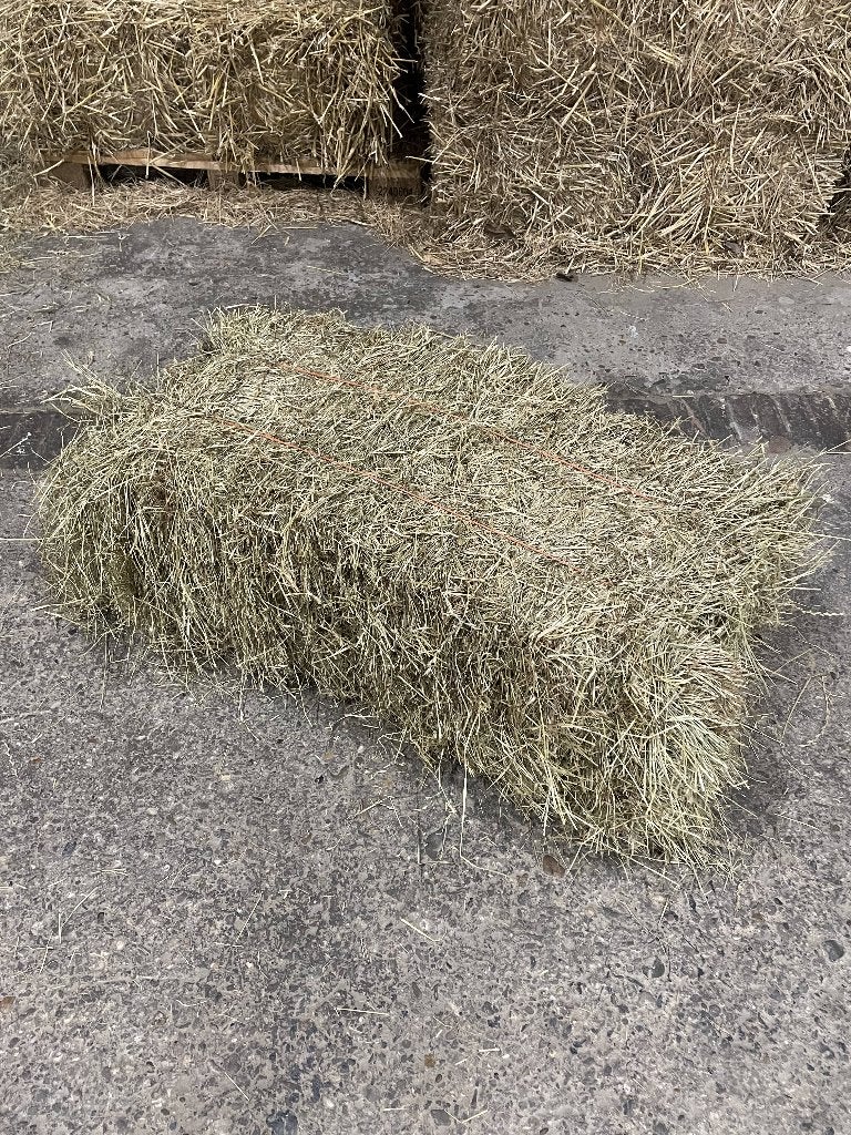 Engelsraai Graszaad Hooi, Dieren en Toebehoren, Dierenvoeding, Vee, Ophalen of Verzenden