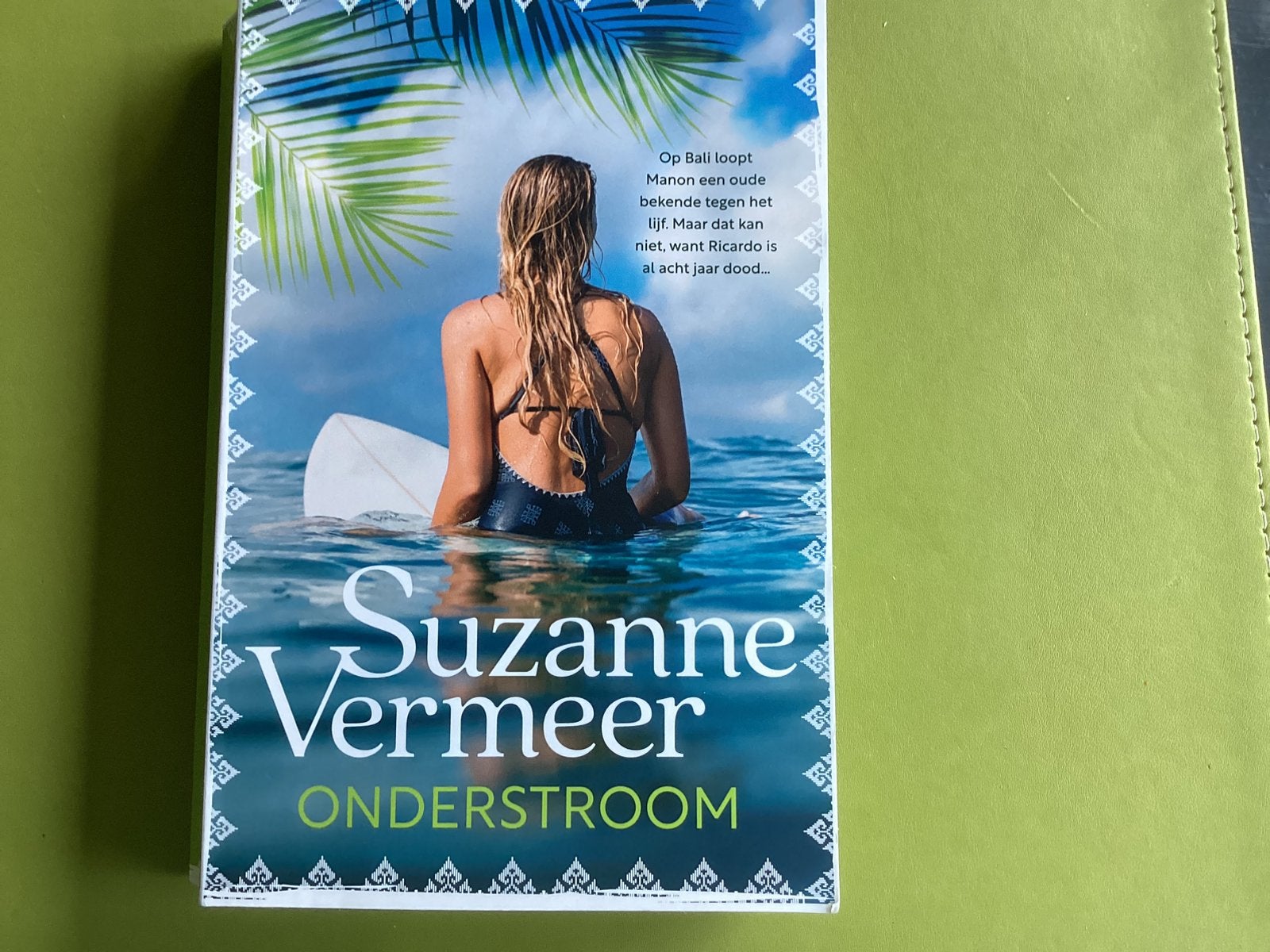 Onderstroom van Suzanne Vermeer, Boeken, Thrillers, Ophalen of Verzenden, Zo goed als nieuw