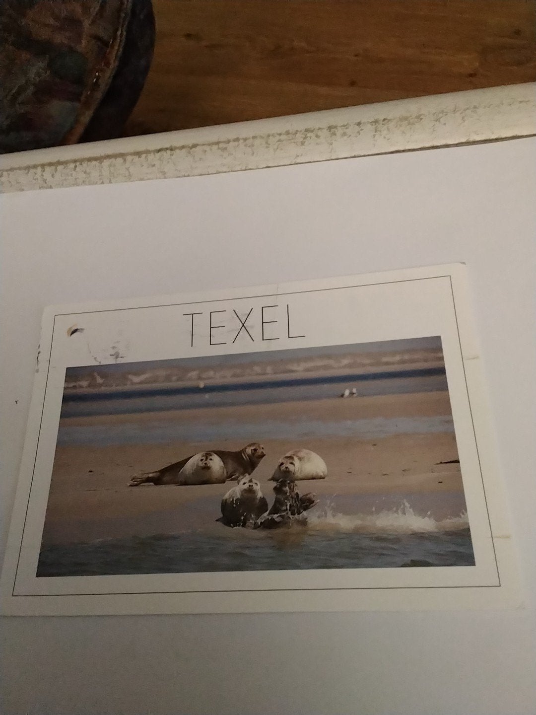 Ansichtkaart Texel met zeehonden - Gelopen, Verzamelen, Ophalen of Verzenden
