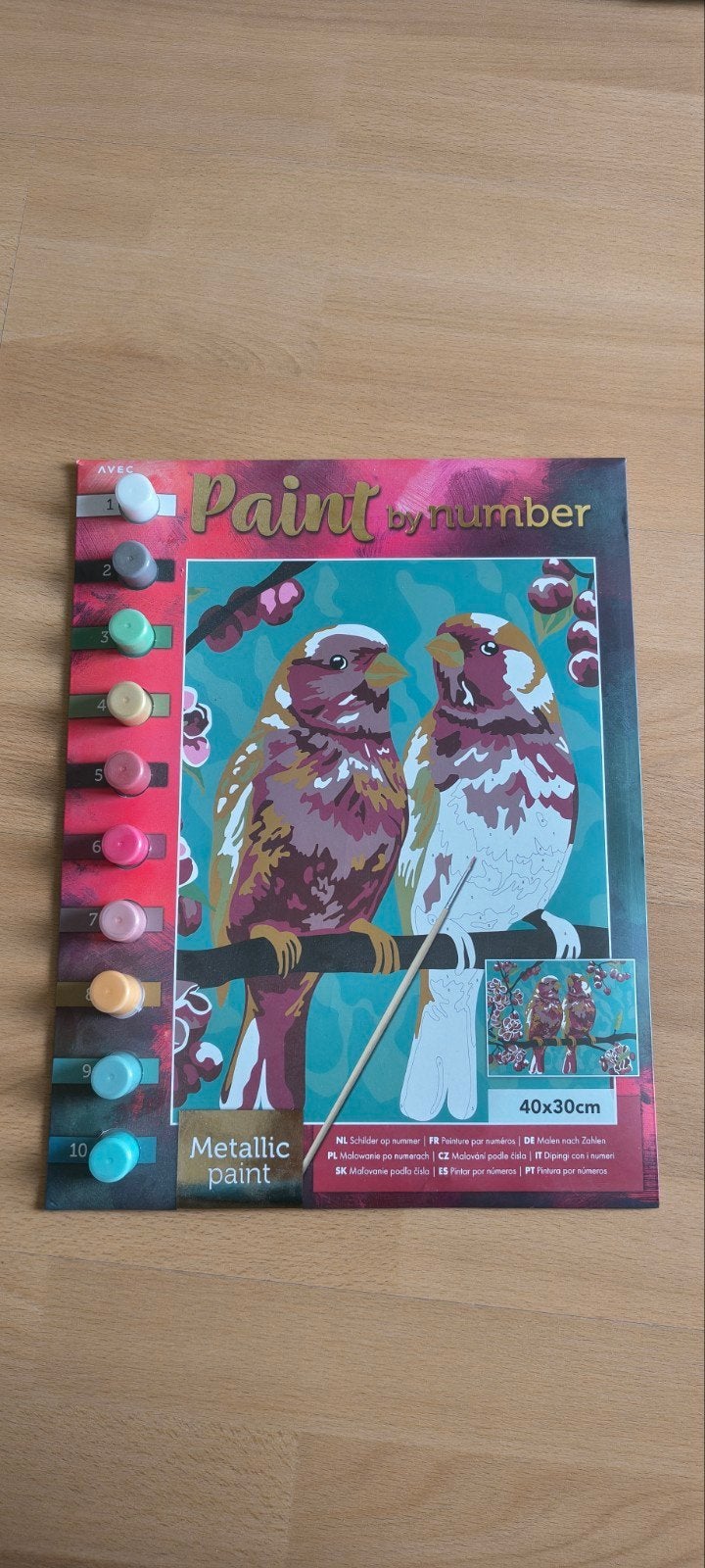 Schilderen op nummer - Metallic verf - Vogels 40x30cm, Hobby en Vrije tijd, Ophalen of Verzenden