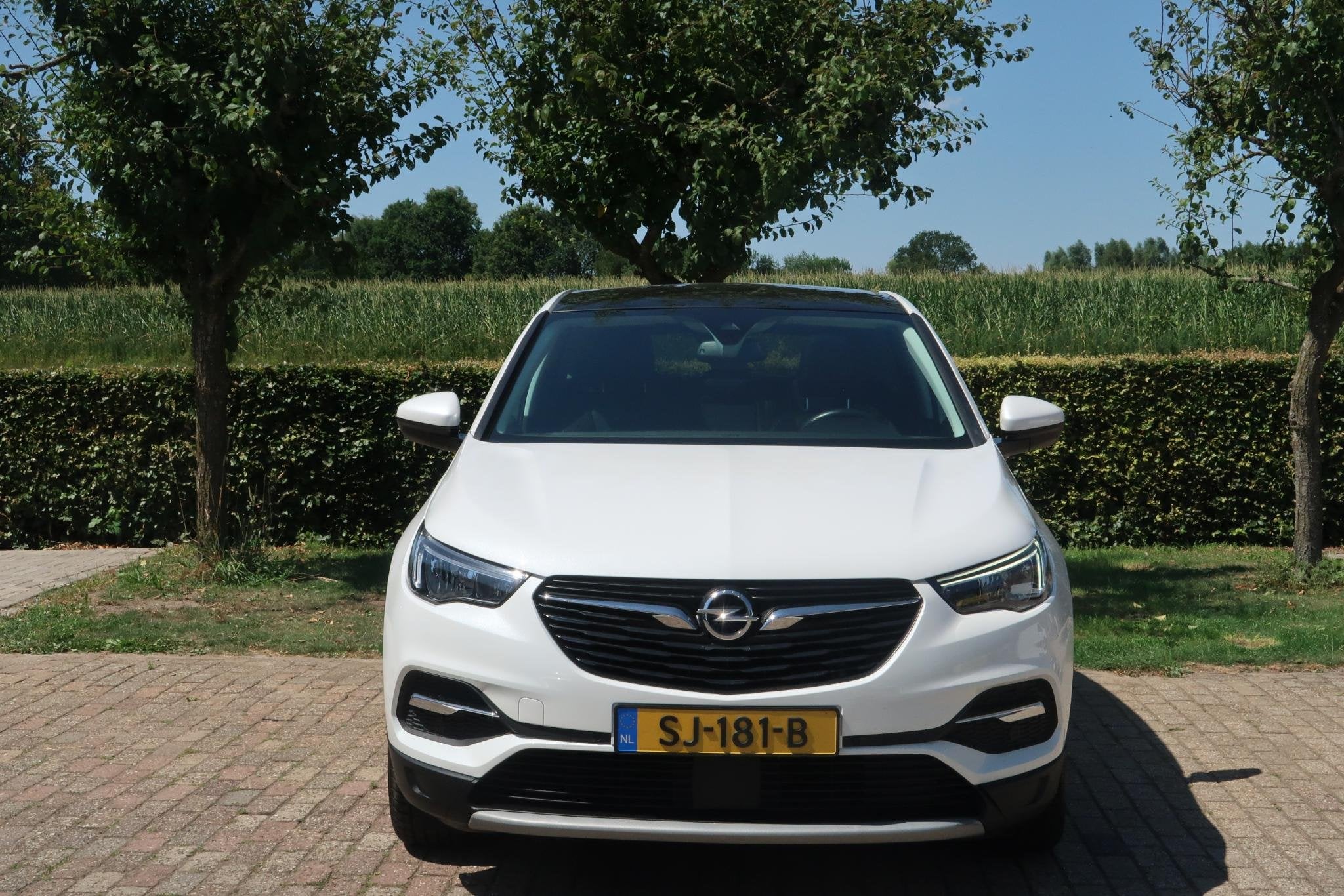 Opel Grandland X 1.2 Turbo Business Executive, Auto's, Opel, Stof, Gebruikt, Met garantie (alle), Wit