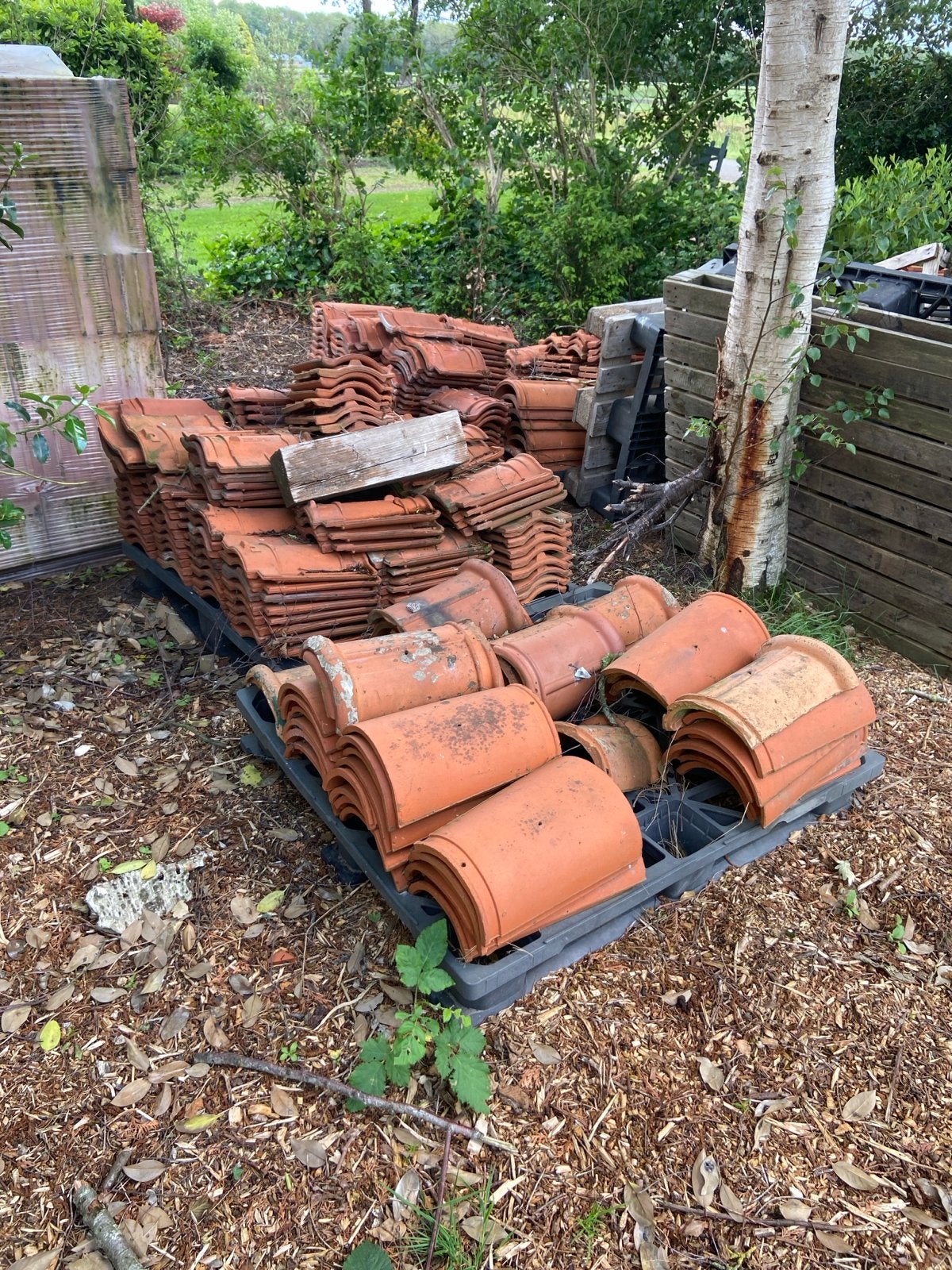 Rode dakpannen - ca. 1300 stuks met partijtje nok vorsten, Ophalen, Gebruikt, Steen of Klei, 15 m² of meer