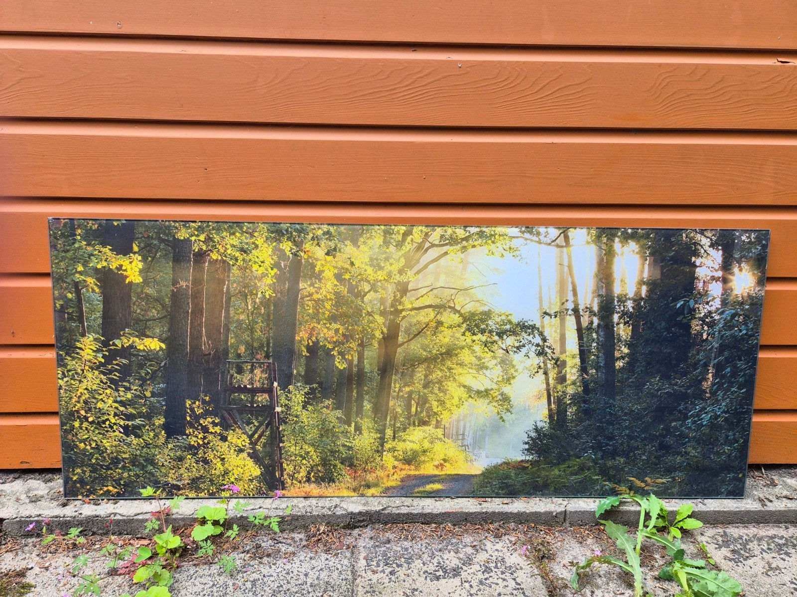 Schilderij Boslandschap Zonsopgang, Ophalen, Gebruikt, 100 tot 125 cm, Schilderij