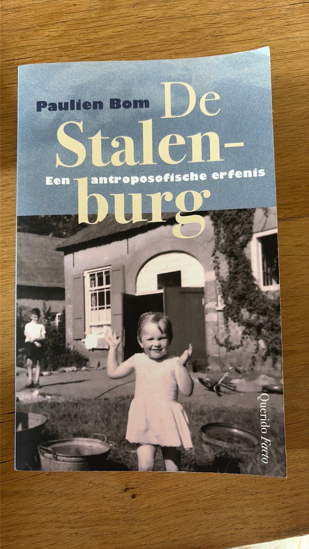 Paulien Bom - De Stalenburg, Ophalen of Verzenden, Zo goed als nieuw, Paulien Bom