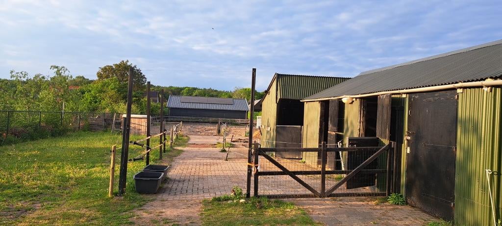 Stalling voor shetlander/kleine pony aangeboden, Dieren en Toebehoren, Stalling en Weidegang, Stalling