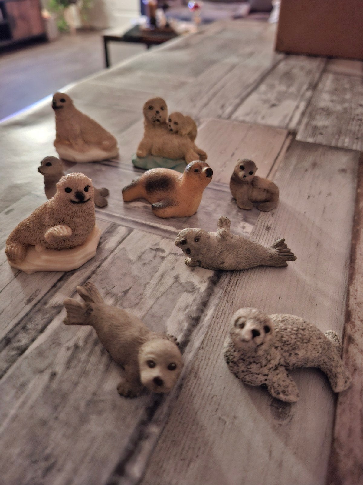 Prachtige Zeehonden Beeldjes Collectie, Ophalen of Verzenden, Gebruikt, Overige soorten, Beeldje of Figuurtje