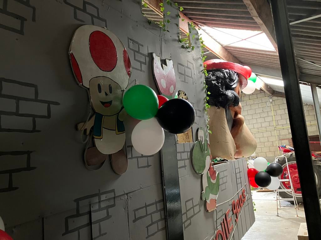 Carnaval, Hobby en Vrije tijd, Ophalen, Zo goed als nieuw, Carnaval