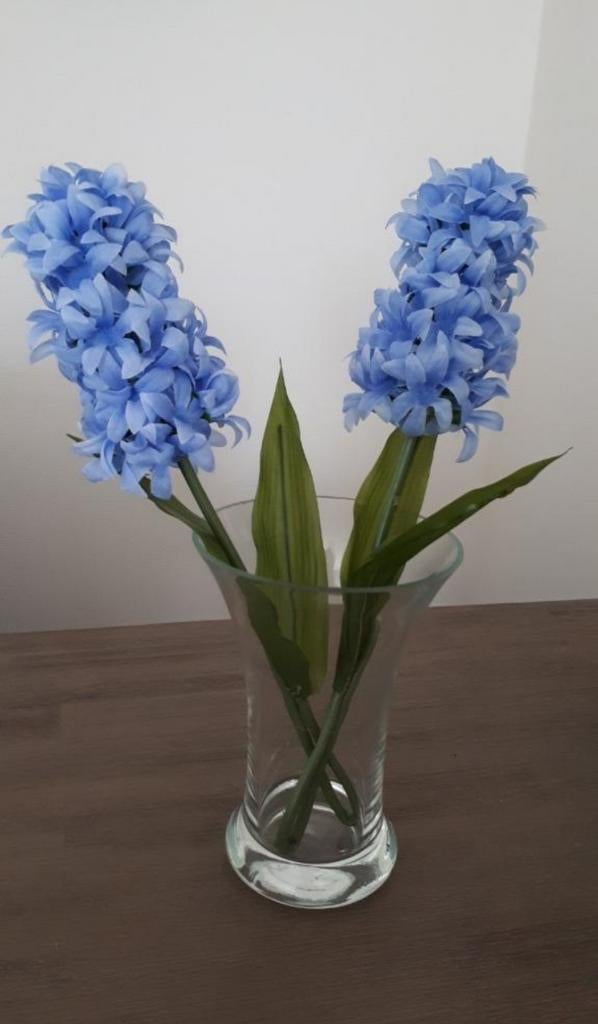 2 hyacinten, Ophalen of Verzenden, Nieuw
