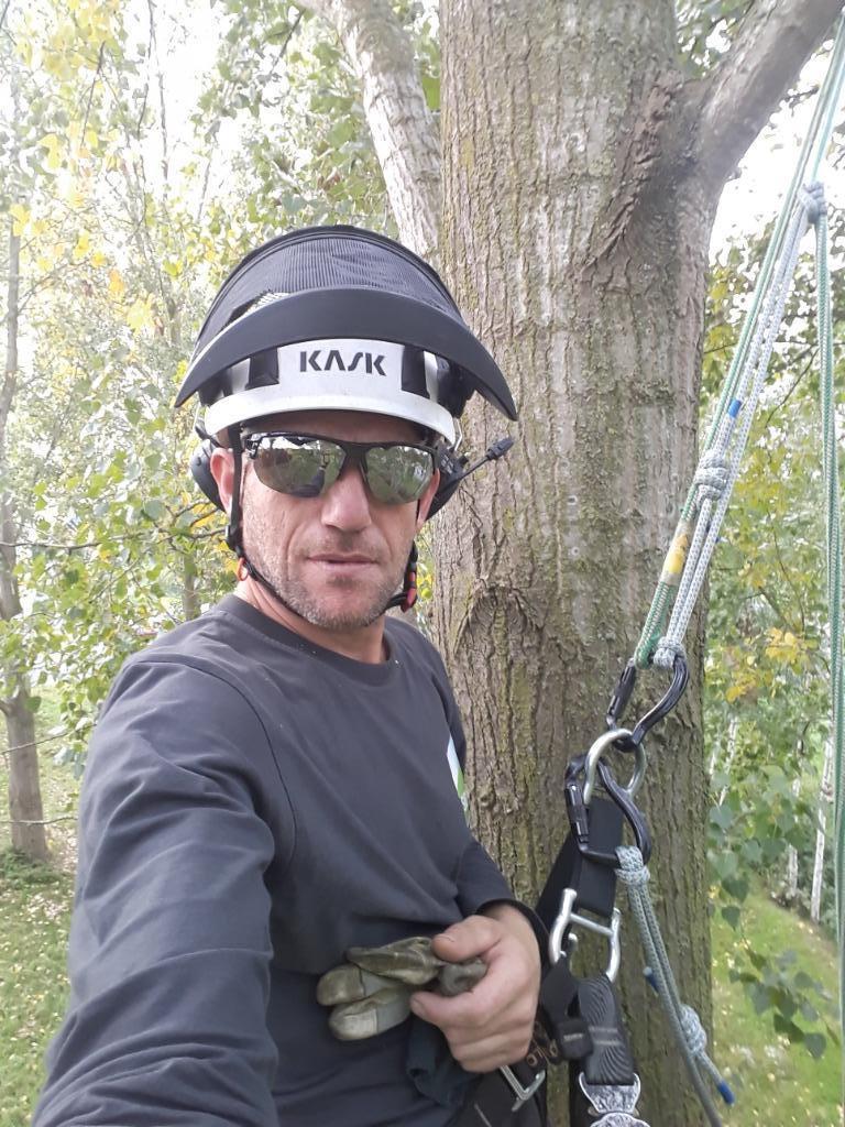 boom snoeien of kappen, Diensten en Vakmensen, Tuinmannen en Stratenmakers