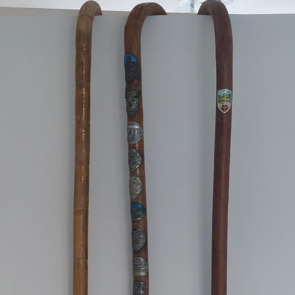 Wandelstokken met schildjes, Ophalen of Verzenden, Gebruikt