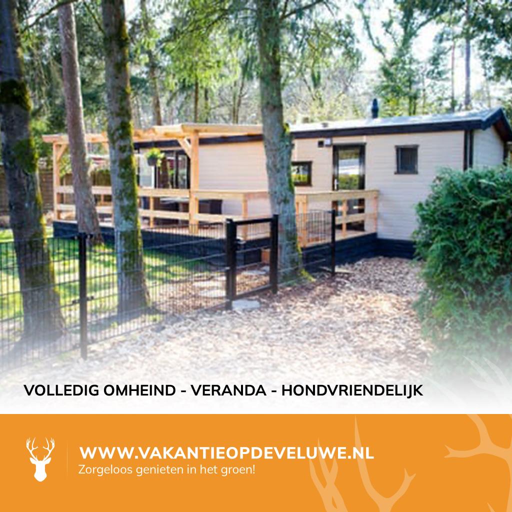 *Te Huur* 7 mooie chalets op de Veluwe!, Tot en met 5
