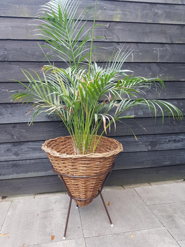 Rieten puntmand in metalen houder - Vintage jaren 60-70, Huis en Inrichting, Woonaccessoires | Schalen en Manden, Ophalen, Gebruikt