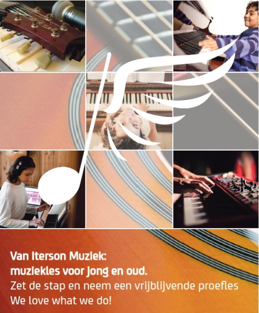 Gitaarles, pianoles bij VIM | Rosmalen (Gr. Wielen) / Empel, Privéles, Tokkelinstrumenten