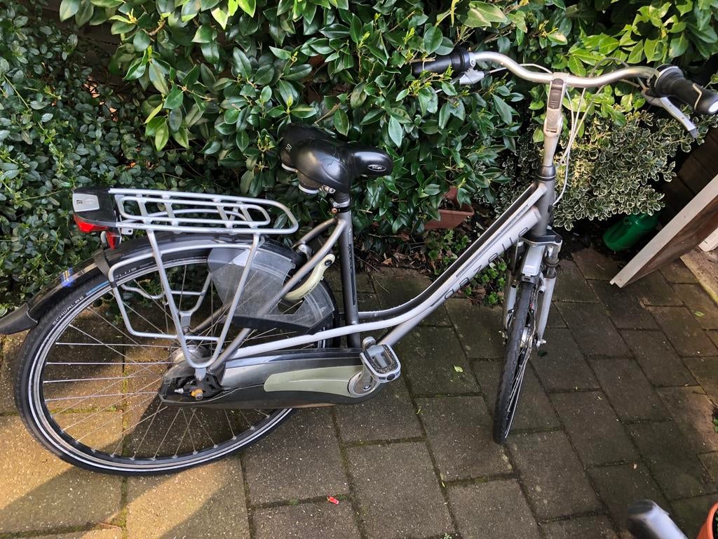 Gazelle Paris plus 55 cm dames 7 versnellingen, Ophalen, 53 tot 56 cm, Versnellingen, Zo goed als nieuw