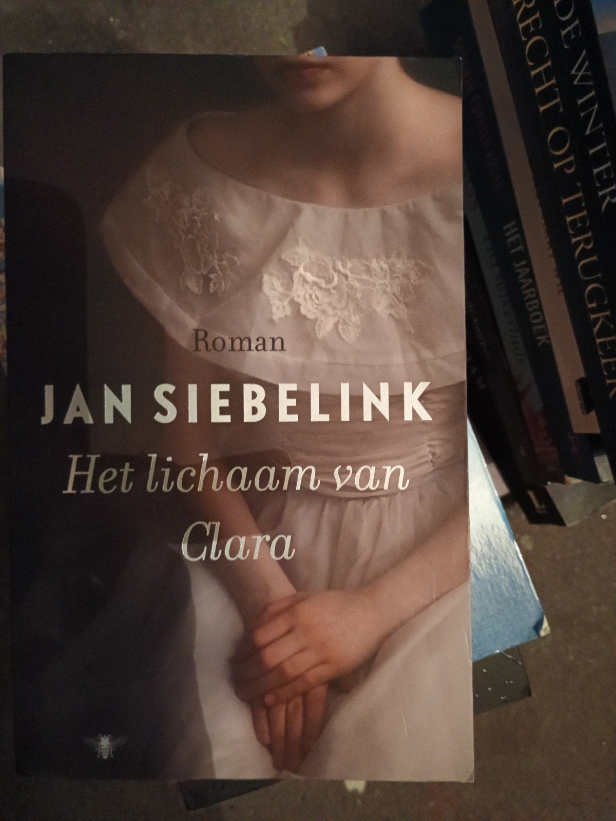 Jan Siebelink - Het lichaam van Clara, Ophalen of Verzenden, Zo goed als nieuw, Jan Siebelink