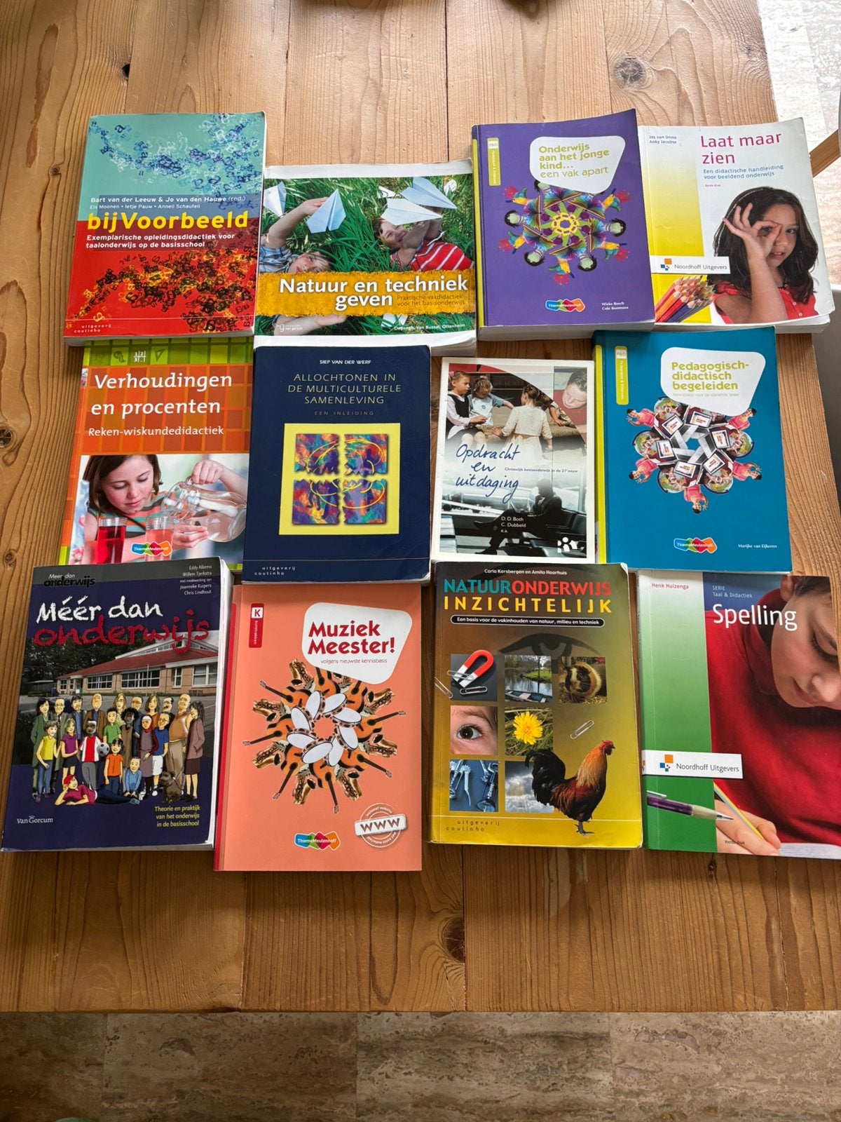 Pakket boeken voor opleiding Pabo, Ophalen of Verzenden, Gelezen, School, Studie en Wetenschap