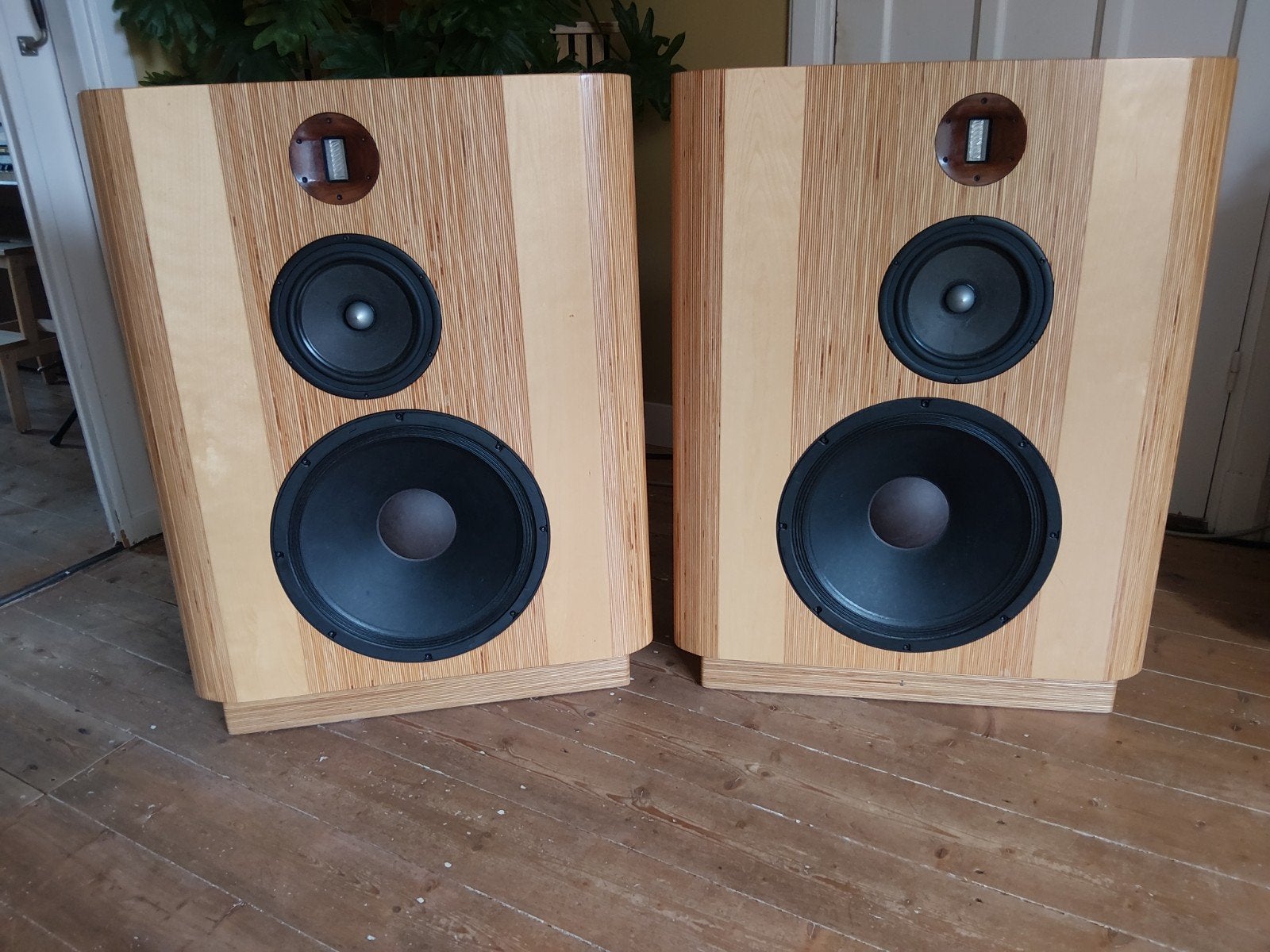 Actieve OBL-15 Open-baffle variant met Hypex FA253, Viawave.