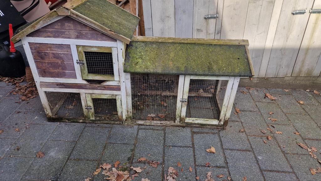 Konijnenhok, Dieren en Toebehoren, Konijnen, Vrouwelijk, Groot, 3 tot 5 jaar