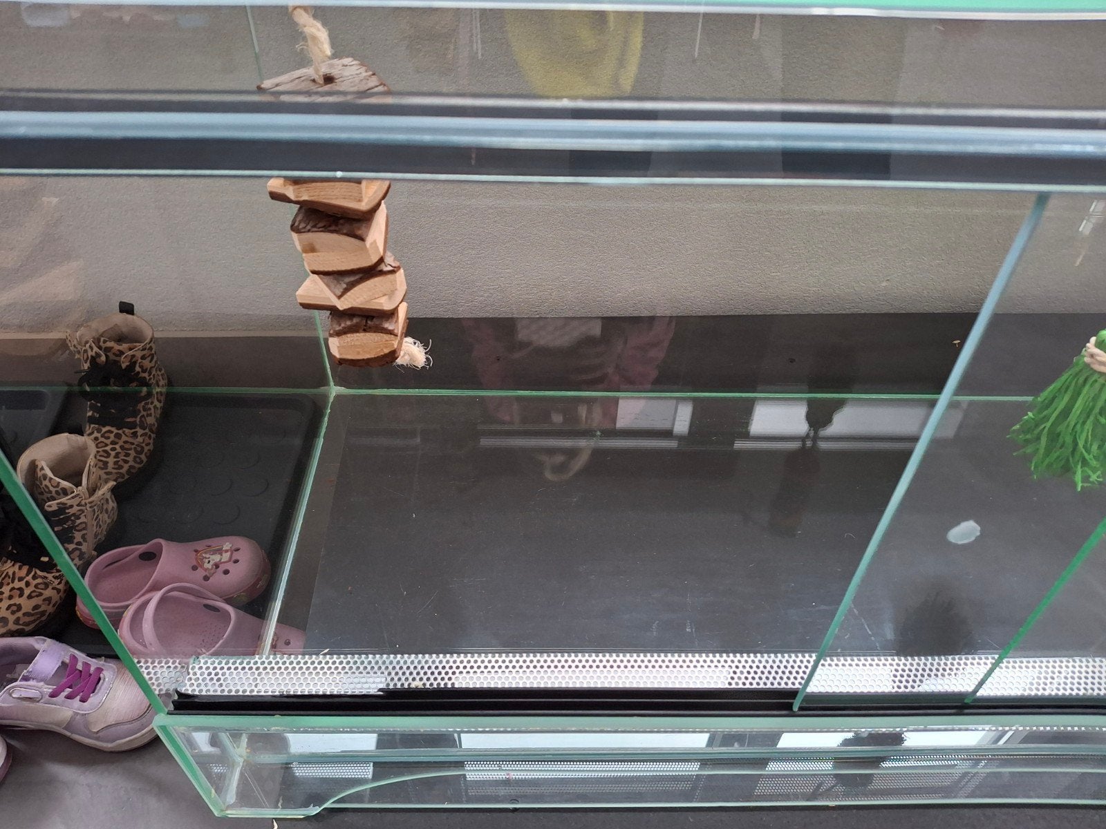 Terrarium  100 cm, Ophalen of Verzenden, 75 tot 110 cm, Minder dan 60 cm
