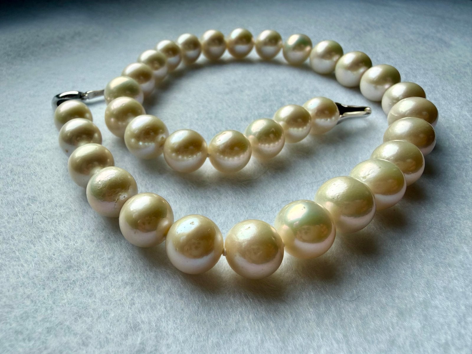 Edison Parels Collier - Elegant en Tijdloos, Ophalen of Verzenden, Nieuw, Wit, Overige materialen