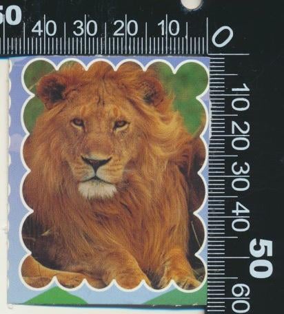 Sticker: Leeuw (9), Ophalen of Verzenden, Zo goed als nieuw, Dier en Natuur