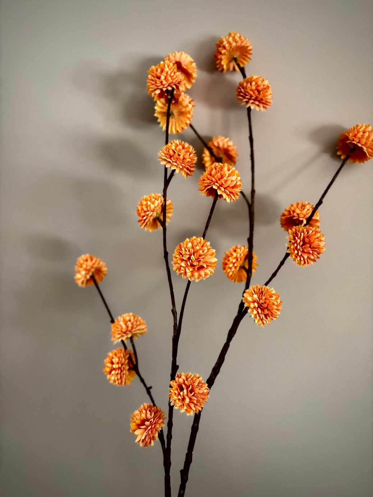 Pom Pom takken, 2 stuks, NIEUW! Prijs per tak, Binnen, 100 cm, Ophalen of Verzenden, Oranje