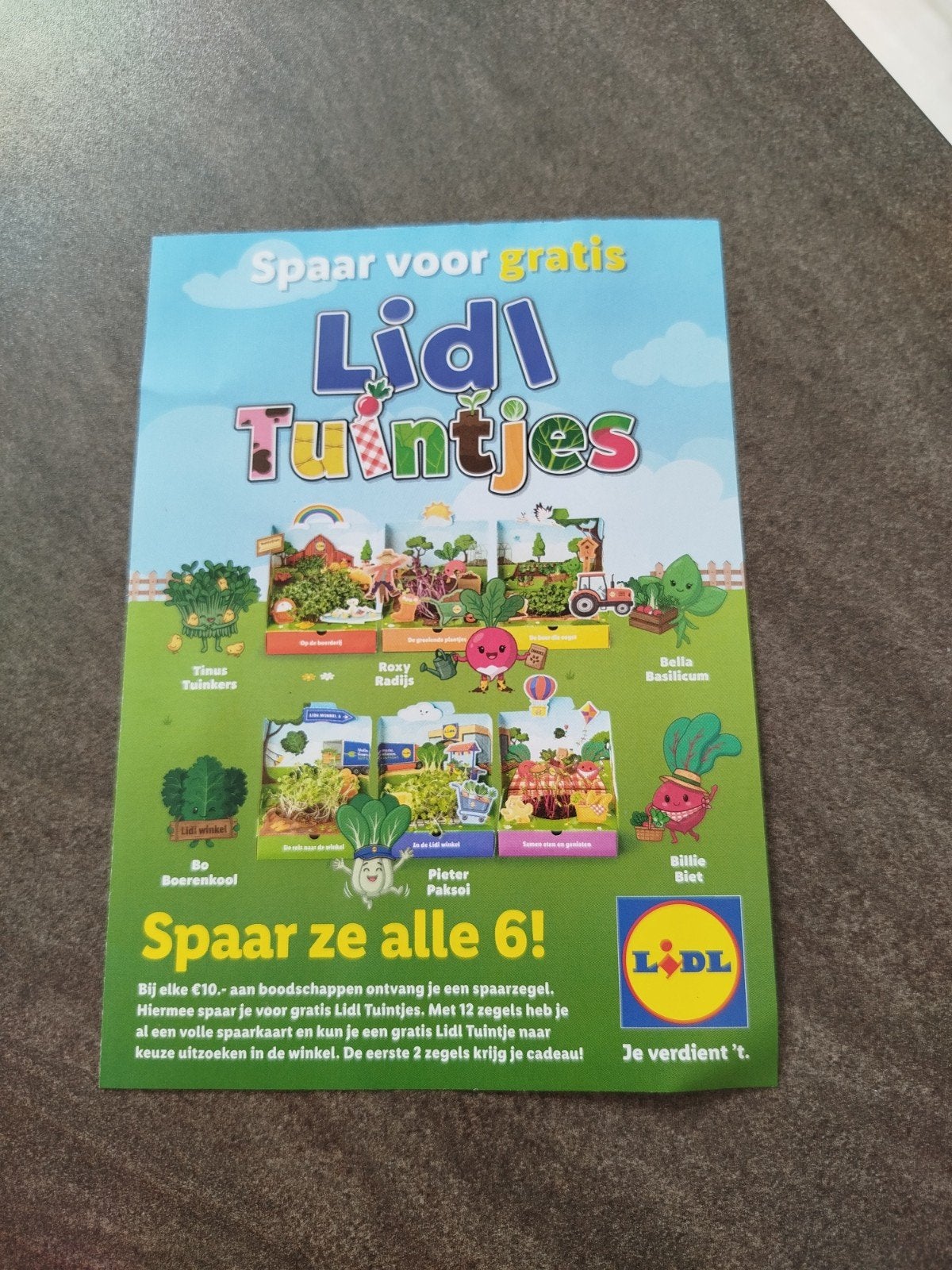 4 volle spaarkaarten van de Lidl tuintjes, Hobby en Vrije tijd, Ophalen of Verzenden, Winkel, Super of Benzinepomp, Volle spaarkaart