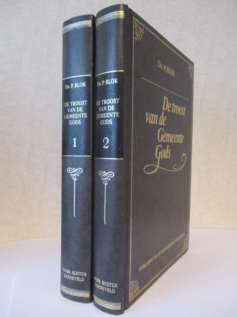 Ds. P. Blok: De Heidelbergse Catechismus (2 delen)., Boeken, Christendom | Protestants, Ophalen of Verzenden, Zo goed als nieuw