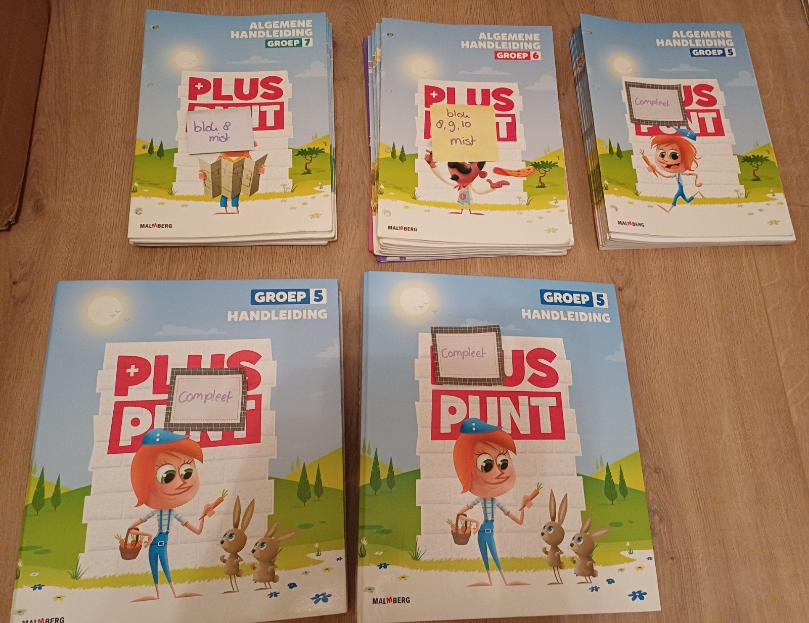 Pluspunt 4  handleiding groep 5, 6, 7 (Malmberg), Boeken, Gelezen, Overige vakken, Ophalen of Verzenden, Diverse auteurs (Malmberg)