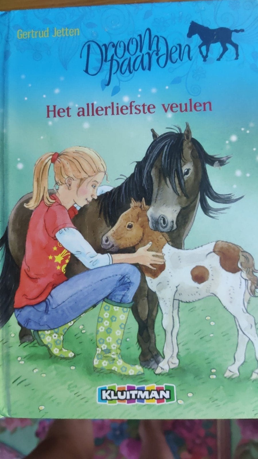 Droompaarden: Het allerliefste veulen, Ophalen of Verzenden, Zo goed als nieuw, Gertrud Jetten, Fictie algemeen