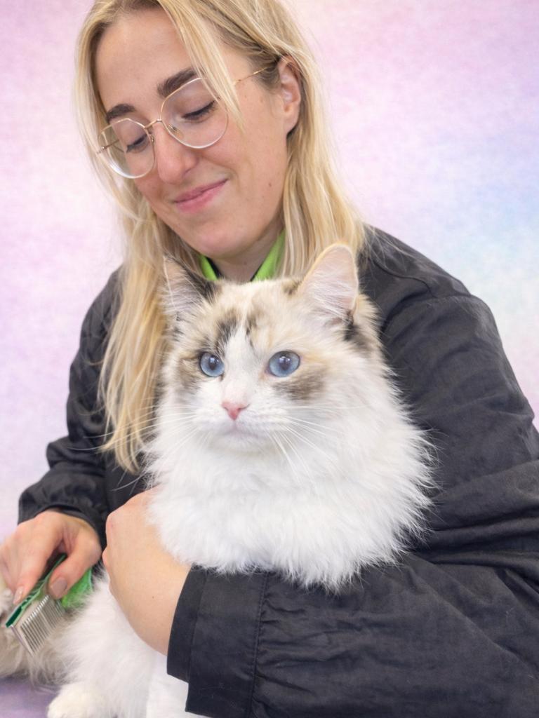 Kattentrimsalon Rotterdam/Capelle aan den IJssel, Trimmen of Verzorging